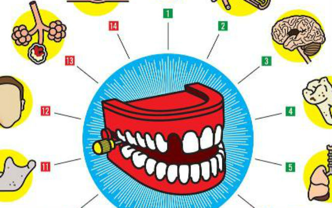 Infographic: Sức khỏe răng miệng ảnh hưởng đến cơ thể thế nào?