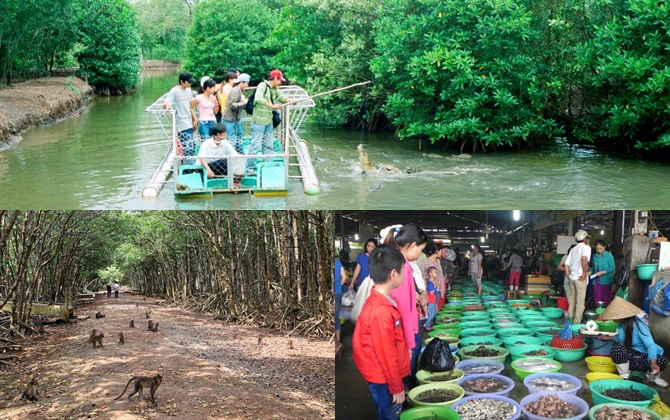 Hành trình khám phá Cần Giờ trong 2 ngày cuối tuần