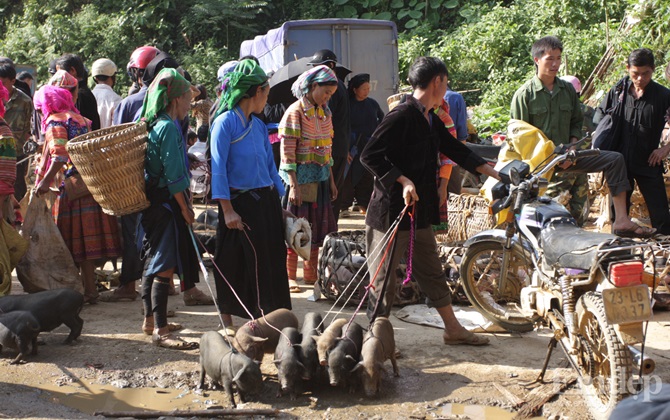 Phiên Chợ Cốc Pài đơn sơ miền biên ải