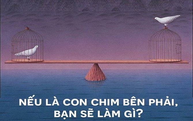 Câu chuyện về hai con chim và bài học tình nghĩa vợ chồng…