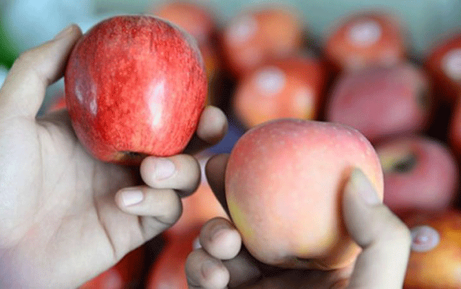 Cách phân biệt trái cây Trung Quốc để tránh mua cho bé ăn dặm