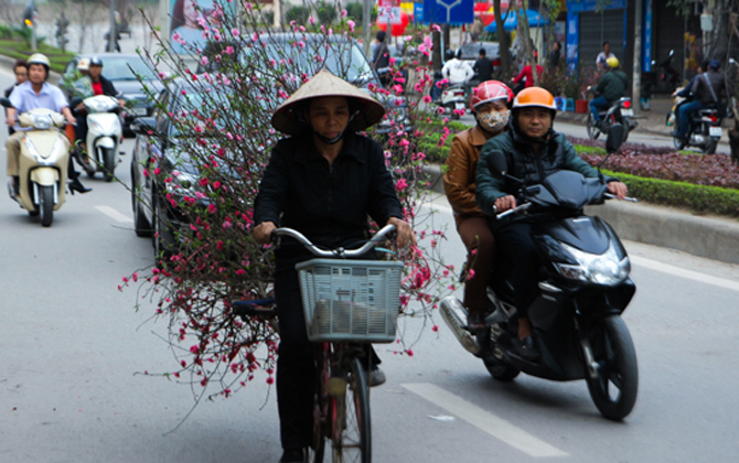 Tết Nguyên đán Bính Thân được nghỉ 9 ngày