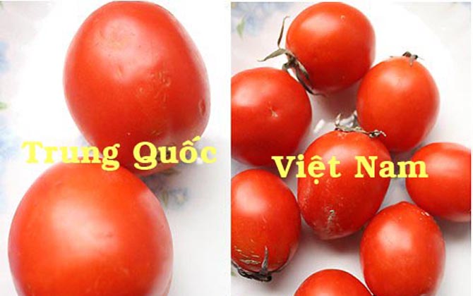 Cách phân biệt rau, củ, quả Trung Quốc và Việt Nam