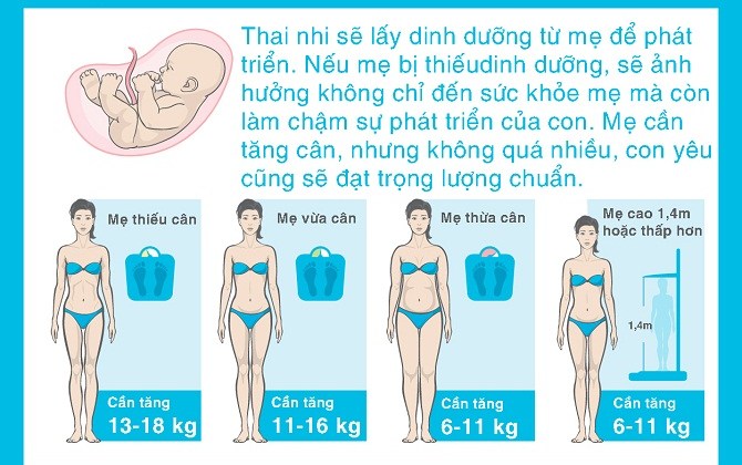 Chế độ ăn và mức tăng cân chuẩn nhất cho mẹ bầu suốt thai kì