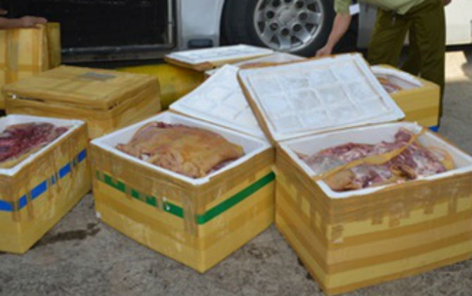 Nhịp sống Plus: 800kg thịt động vật bốc mùi bị bắt giữ