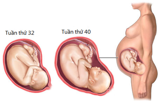 4 bước chuẩn chăm sóc thai nhi 3 tháng cuối