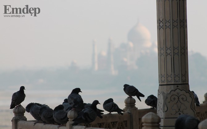 Taj Mahal, biểu tượng của tình yêu vĩnh cửu 