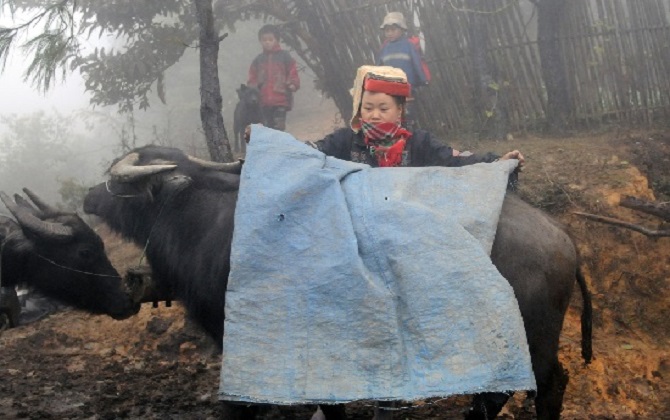 Dự báo thời tiết hôm nay ngày 13/1/2016: Vùng núi có nơi rét đậm