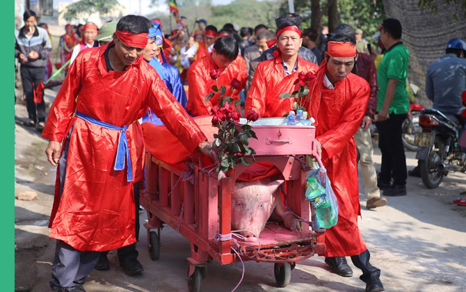 Lễ hội chém lợn Ném Thượng: Dân làng chém "ông ỉn" trong nhà kín