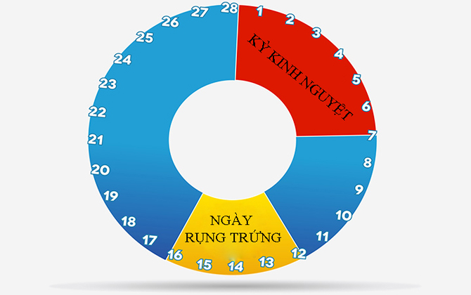 Biết được nguyên tắc này, bạn sẽ thụ thai thành công