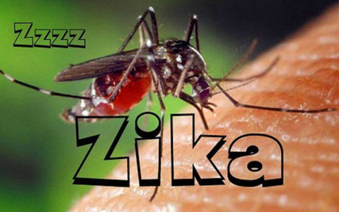 Phòng chống Zika: Chú ý diệt loăng quăng, bọ gậy tại hộ gia đình