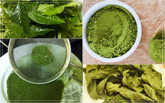 Tự làm bột trà xanh (matcha) khỏi phải tìm mua ngoài hàng