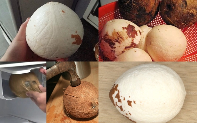 Mẹo tách vỏ dừa ra khỏi cùi dừa nhanh nhất