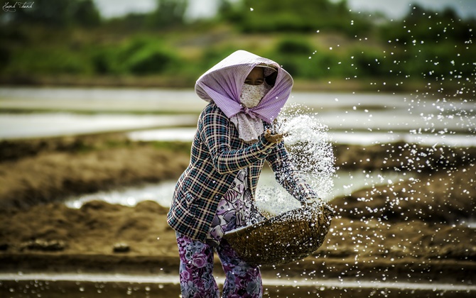 Về Bến Tre nhớ ghé thăm làng nghề muối truyền thống Bảo Thuận