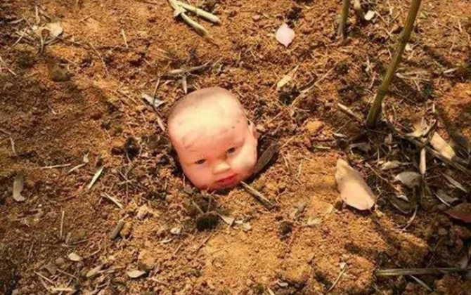Rùng mình với "Vườn trồng trẻ con" của sinh viên năm cuối