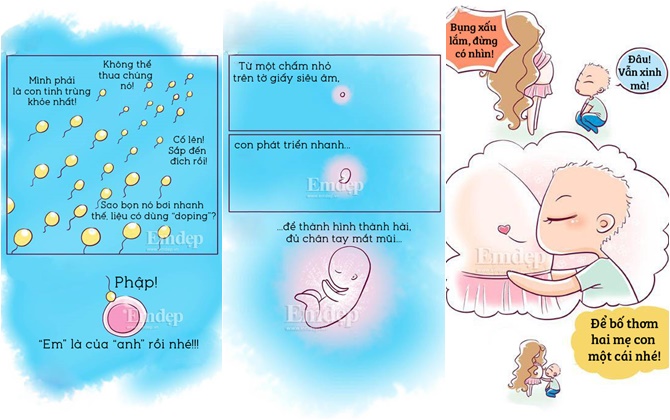 Quá trình hình thành sự sống cho bé yêu đầy kì diệu