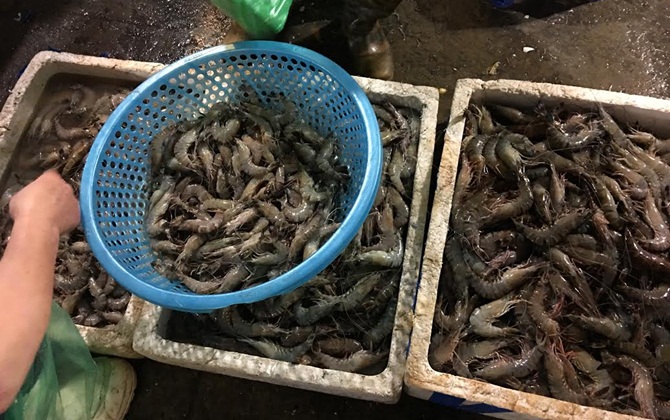 Đầu bếp tiết lộ: Chiêu đánh tráo tôm tươi trong nhà hàng sang