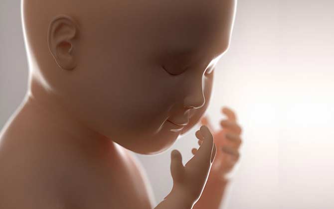 Bé cưng đang làm gì trong bụng mẹ?