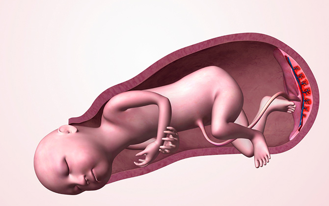 Những nguyên nhân khiến bé khó chui ra khỏi tử cung của mẹ