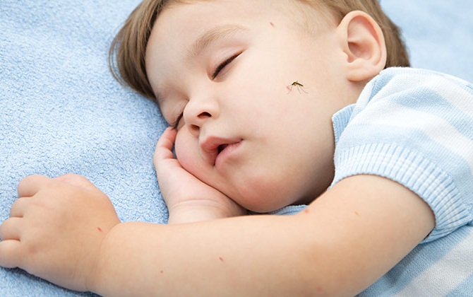 4 chiêu đuổi muỗi cực an toàn mà siêu hiệu quả cho bé