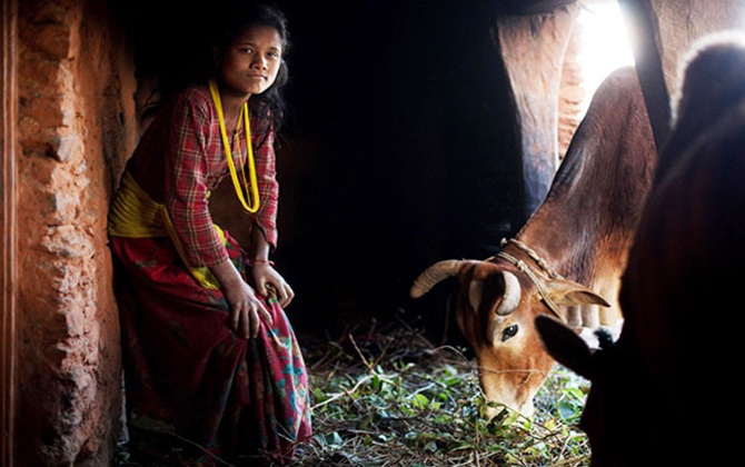 Chuyện khó tin: Phụ nữ Nepal phải sống ngoài chuồng bò vào ngày đèn đỏ