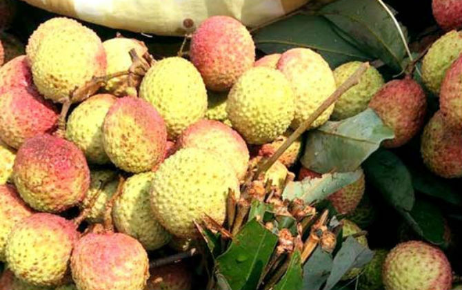 Vải đầu mùa giá "chát", người mua nhớ kinh nghiệm sau để không bị "hớ"