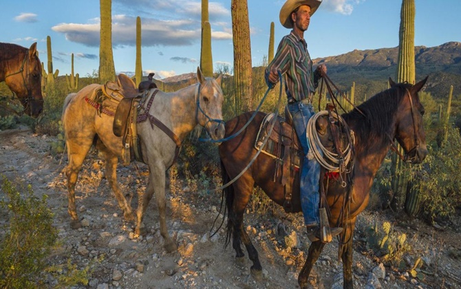 Một ngày thử làm cao bồi ở công viên Saguaro