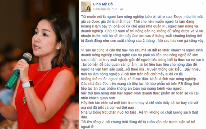 Dân mạng 'chửi bới' Mỹ Linh vì phát ngôn 'thực phẩm sạch'