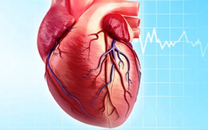 Trái tim sợ nhất điều gì

