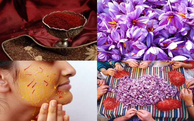 Saffron- món gia vị đắt nhất thế giới, dùng để làm gì?
