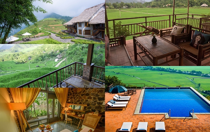 5 resort mở cửa là có thể ngắm lúa