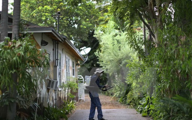 Mỹ phát hiện những nhóm muỗi đầu tiên mang virus Zika