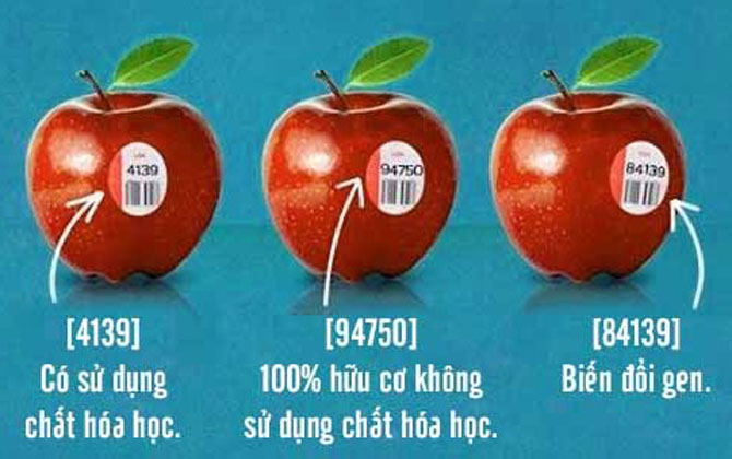 Bài thơ dạy những mẹo vặt trong cuộc sống cực hay