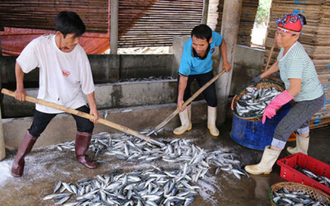 Bộ Y tế: Hải sản miền Trung sống tầng đáy trong 20 hải lý chưa an toàn