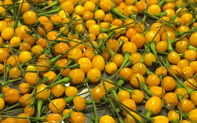 Những loại gia vị đắt ngang giá túi hiệu của chị em