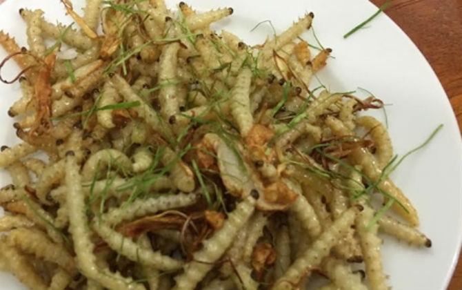 Hãi hùng ăn sâu tre: Ngon lạ lùng, có tiền khó mua