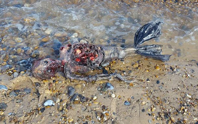 Xôn xao ảnh xác nàng tiên cá bên bờ biển