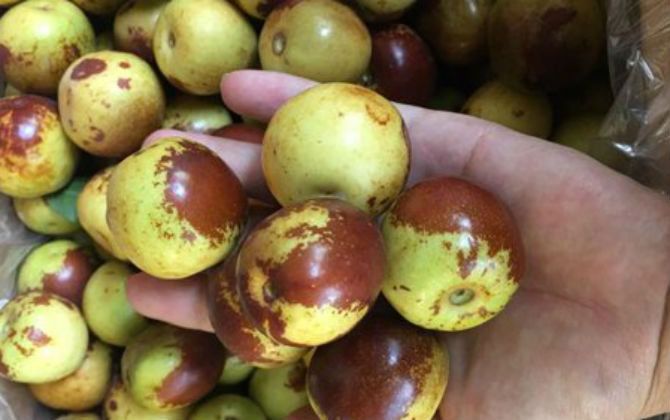 Ngon mắt, sướng mồm: 5 loại quả đích thị hàng Tàu vẫn mua