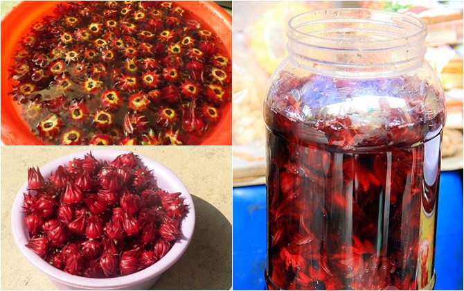 Học cách ngâm hoa atiso đỏ làm nước uống