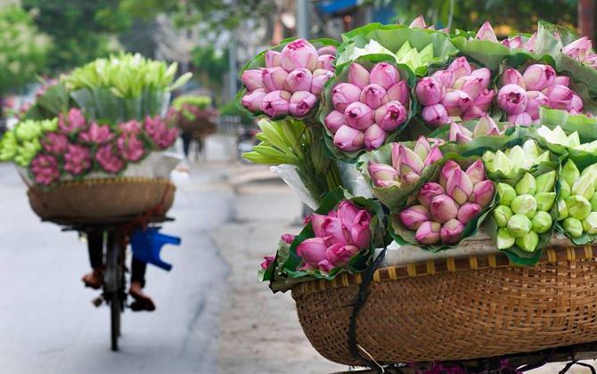 Những lý do khách Tây 'phải lòng' Hà Nội