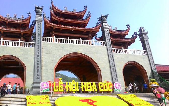 Đến chùa Ba Vàng thưởng ngoạn hoa cúc 7 màu