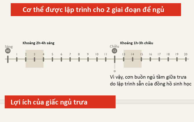 Tác dụng quan trọng khi ngủ trưa 30 phút mỗi ngày