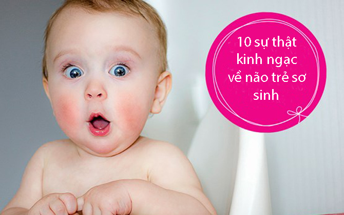 10 sự thật kinh ngạc về trí não trẻ sơ sinh