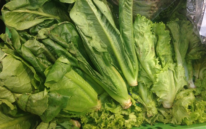 Rau Đà Lạt tại vườn tăng giá, rau Hà Nội leo thang chóng mặt