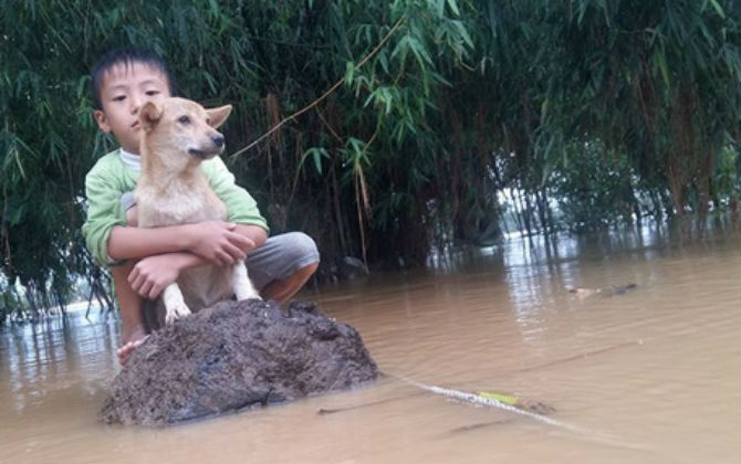 Thương tâm cậu bé cứu chó giữa dòng nước lũ chênh vênh trên mỏm đá