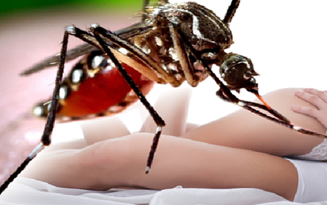 Chàng trai 20 tuổi nhiễm virus Zika do quan hệ tình dục