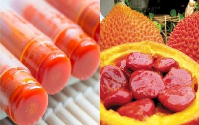Cách làm son dưỡng môi từ gấc đặc trị thâm môi, khô môi