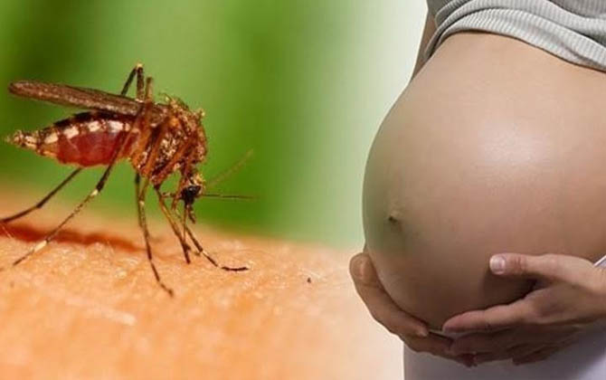 TPHCM: Thai phụ mắc Zika sinh con bình thường