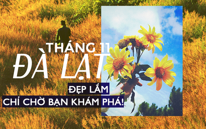 Đà Lạt tháng 11 đẹp lắm, chỉ chờ bạn đến khám phá thôi!