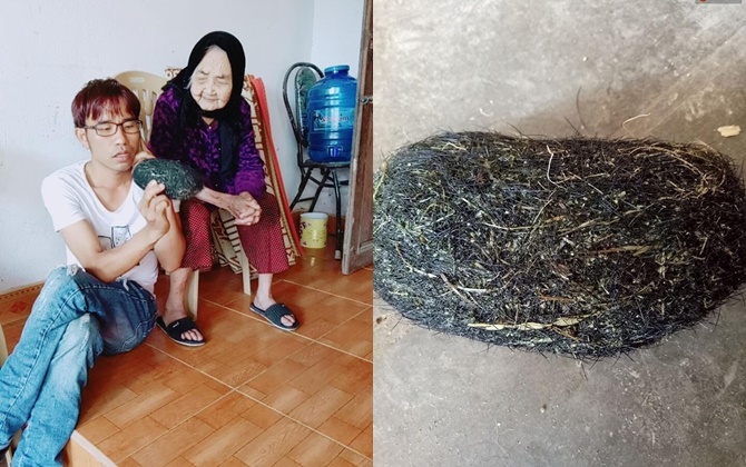 Mổ con lợn 2 tạ, phát hiện vật thể nghi là cát lợn quý hiếm nặng gần 1kg